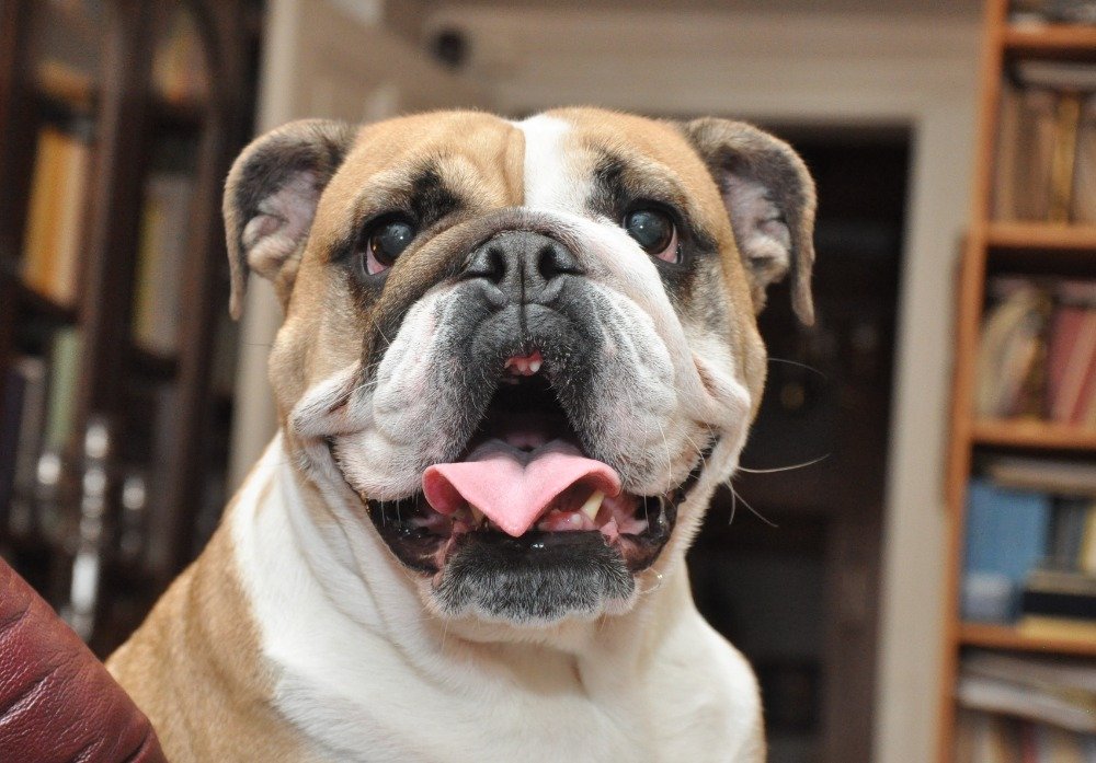 JanPhotojs's tweet image. rajce.idnes.cz/photojs/album/…