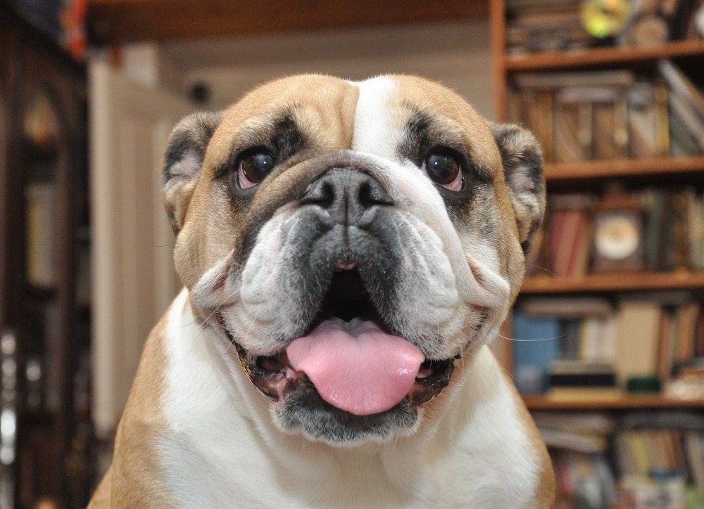 JanPhotojs's tweet image. rajce.idnes.cz/photojs/album/…