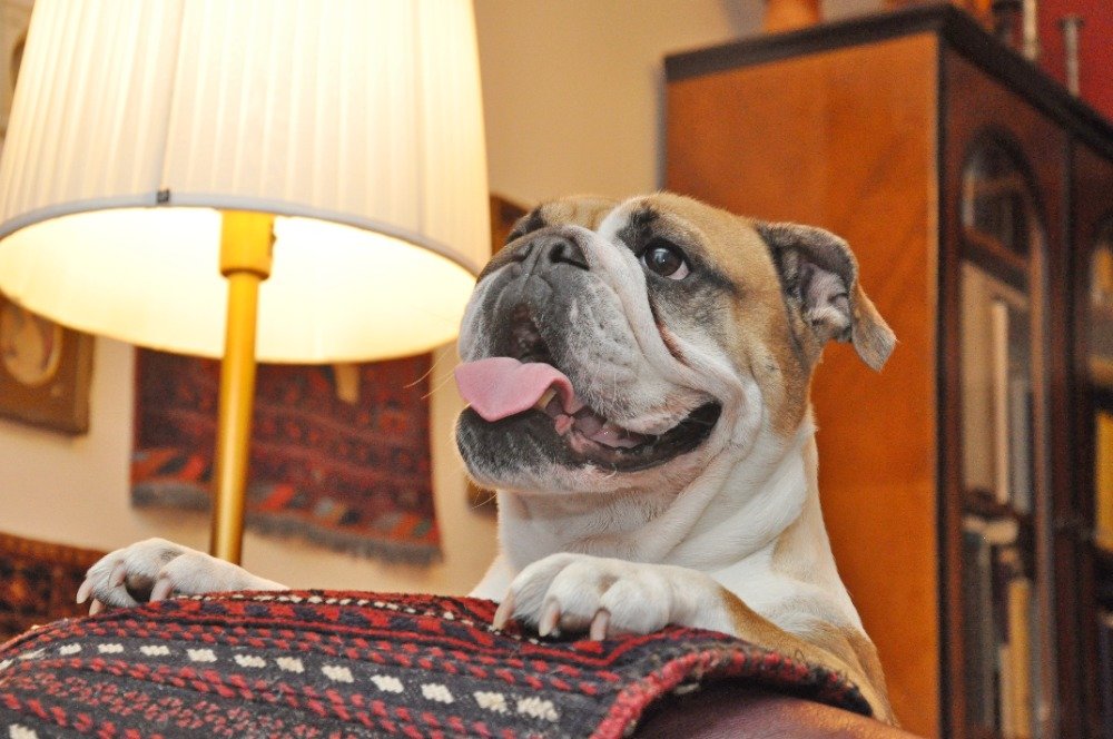 JanPhotojs's tweet image. rajce.idnes.cz/photojs/album/…