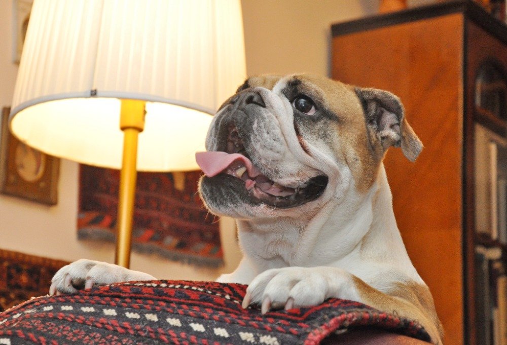 JanPhotojs's tweet image. rajce.idnes.cz/photojs/album/…