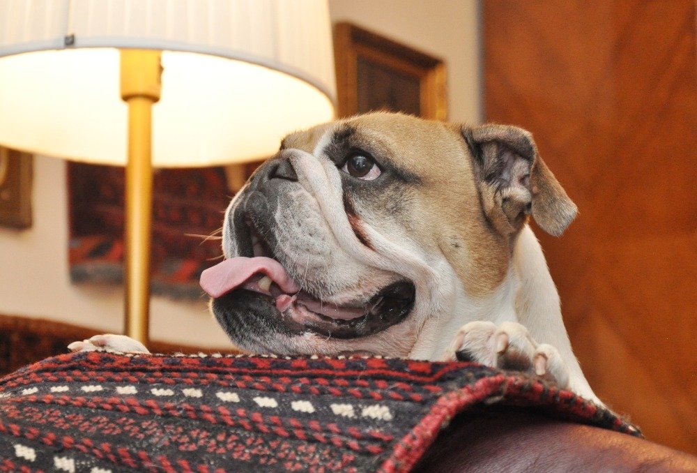 JanPhotojs's tweet image. rajce.idnes.cz/photojs/album/…