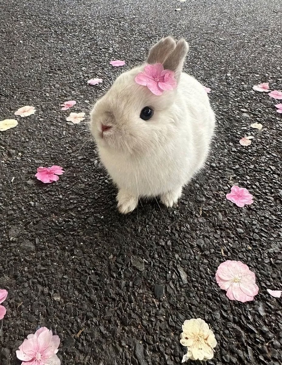 SuccessNode's tweet image. Say hi 👋 and follow 
I promise to follow back immediately 💯👌👍