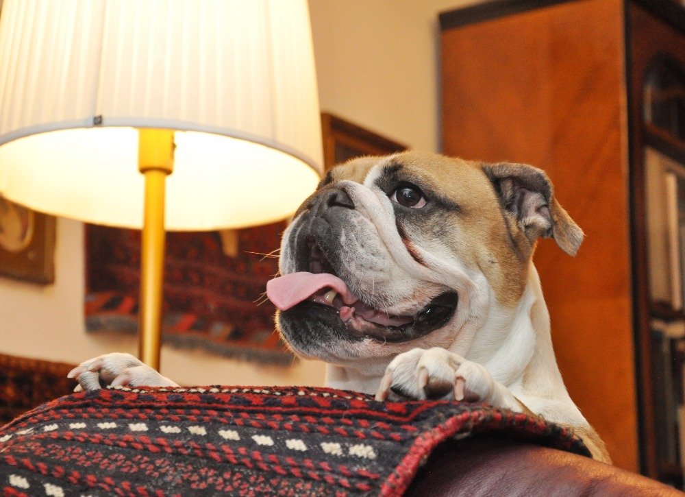 JanPhotojs's tweet image. rajce.idnes.cz/photojs/album/…