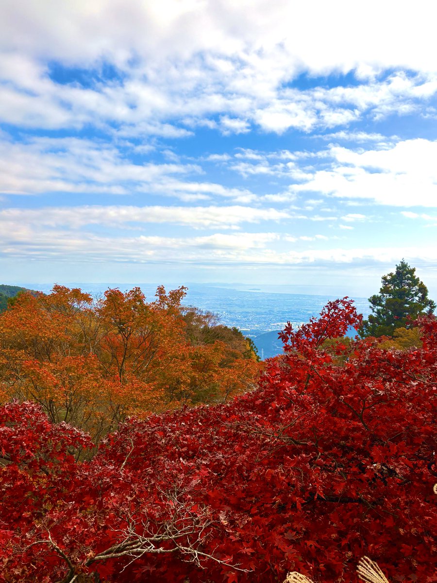 than9aloha's tweet photo. 大山阿夫利神社⛩️🍁
少し早かったけど綺麗だったなぁー
江ノ島も綺麗に見えて良き🍁紅葉狩りだった
#大山阿夫利神社 #紅葉狩り #麺屋ゆきひら https://t.co/QrRePEJkKD