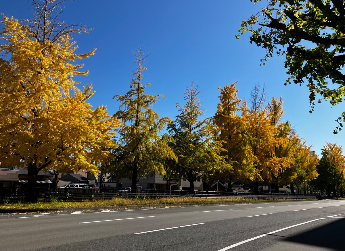 tempura books (@BooksTempura) / Posts / X