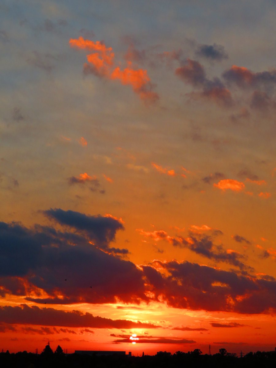 まーくん まーくん｜偽ジャパンプロフィール｜野球日本代表 侍ジャパン