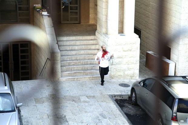 11 years ago today 2 terrorists stormed a synagogue in Jerusalem and brutally murdered 5 worshippers and a Druze police officer who came to their aid. 
I remember that dark morning vividly. 

May their memories be a blessing hy"d 🕯