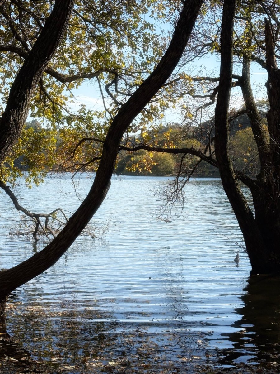 cin_n4's tweet image. 날씨 짱좋음! (๑˃̵ᴗ˂̵๑)