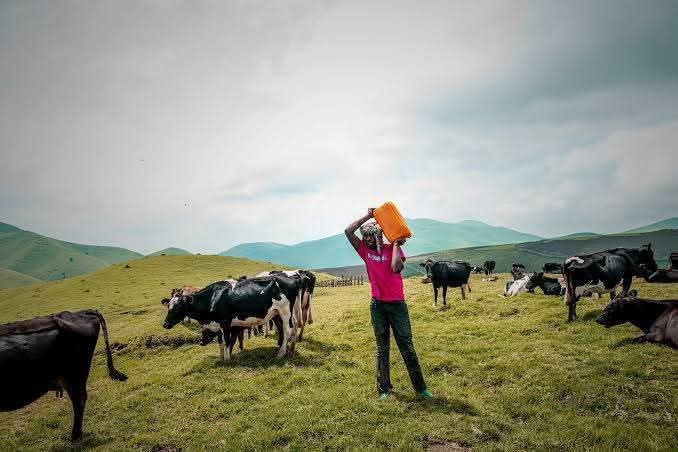 À #Fizi, tout comme à Uvira et même à #Mwenga, il n’existe aucun village appelé #Mikenke. Il s’agit plutôt de #Mi’enge ou #Mikenge