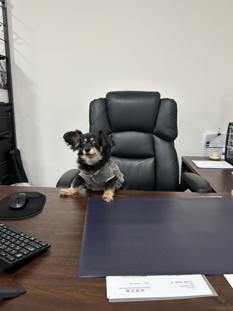 Samuraiページ Samuraiページ Japan Photo | samurai 侍 weapon