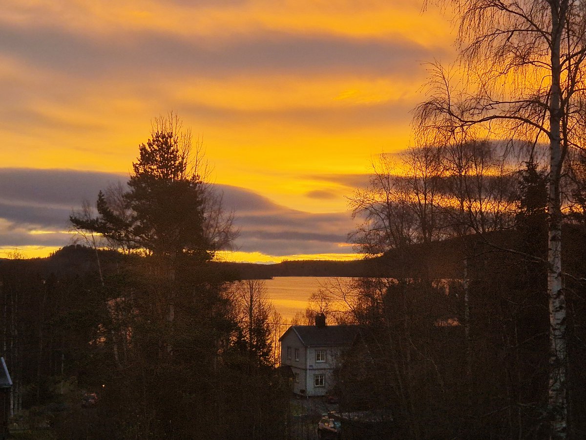 michanzl's tweet image. Sunrise at this time of the year are spectacular - the same almost every morning. I love the orange colour of our lake 🥰

#lake #sunrise #view #sweden #winter #home #lakeview