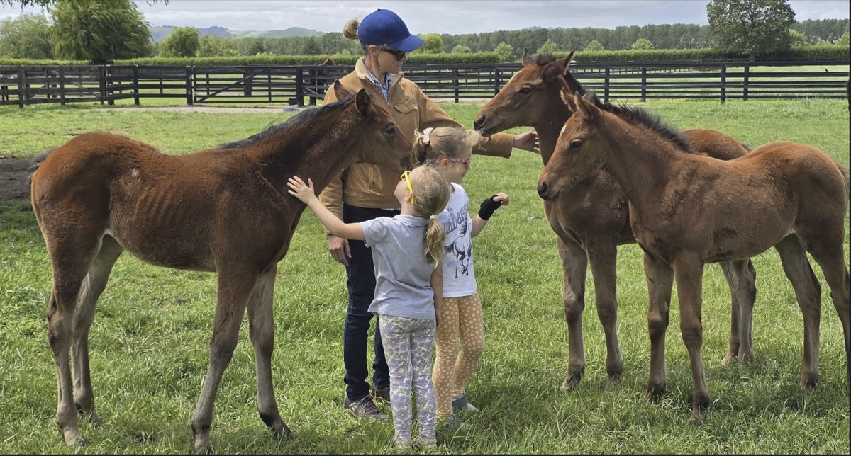 PatrickWeal's tweet photo. National Thoroughbred Week coming up, People and horses having mutual love for each other.  

Milan Park babies https://t.co/qadHd8FiY5