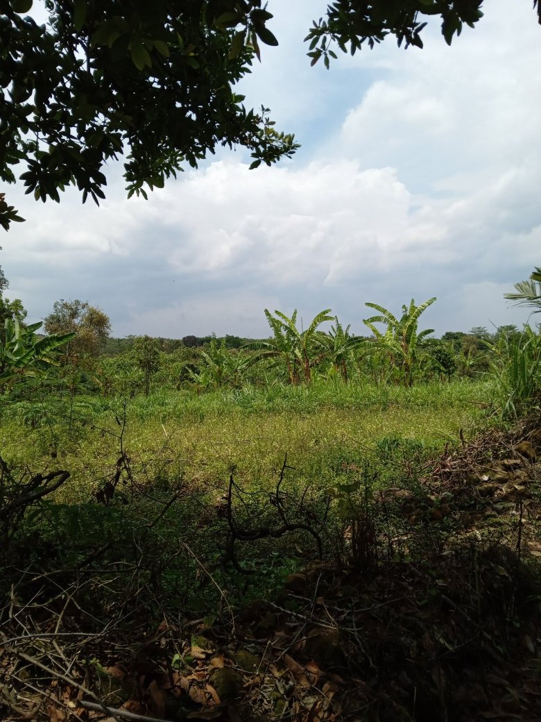 Warung Titipan tweet media