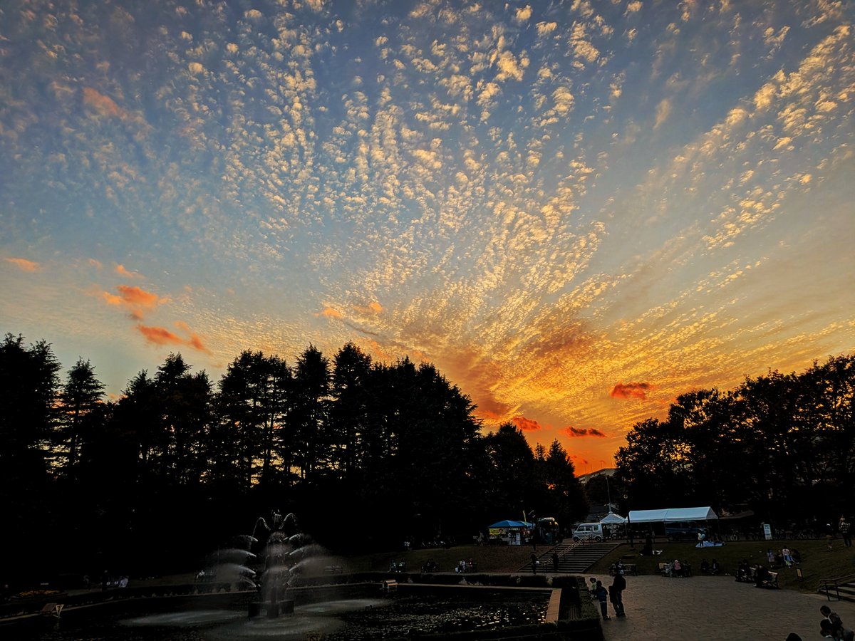 unycom's tweet image. 一年中秋ならいいのに