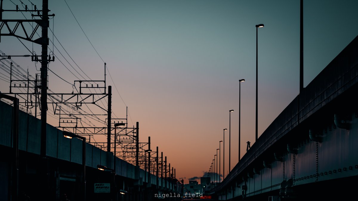 茨 | nigella field tweet media