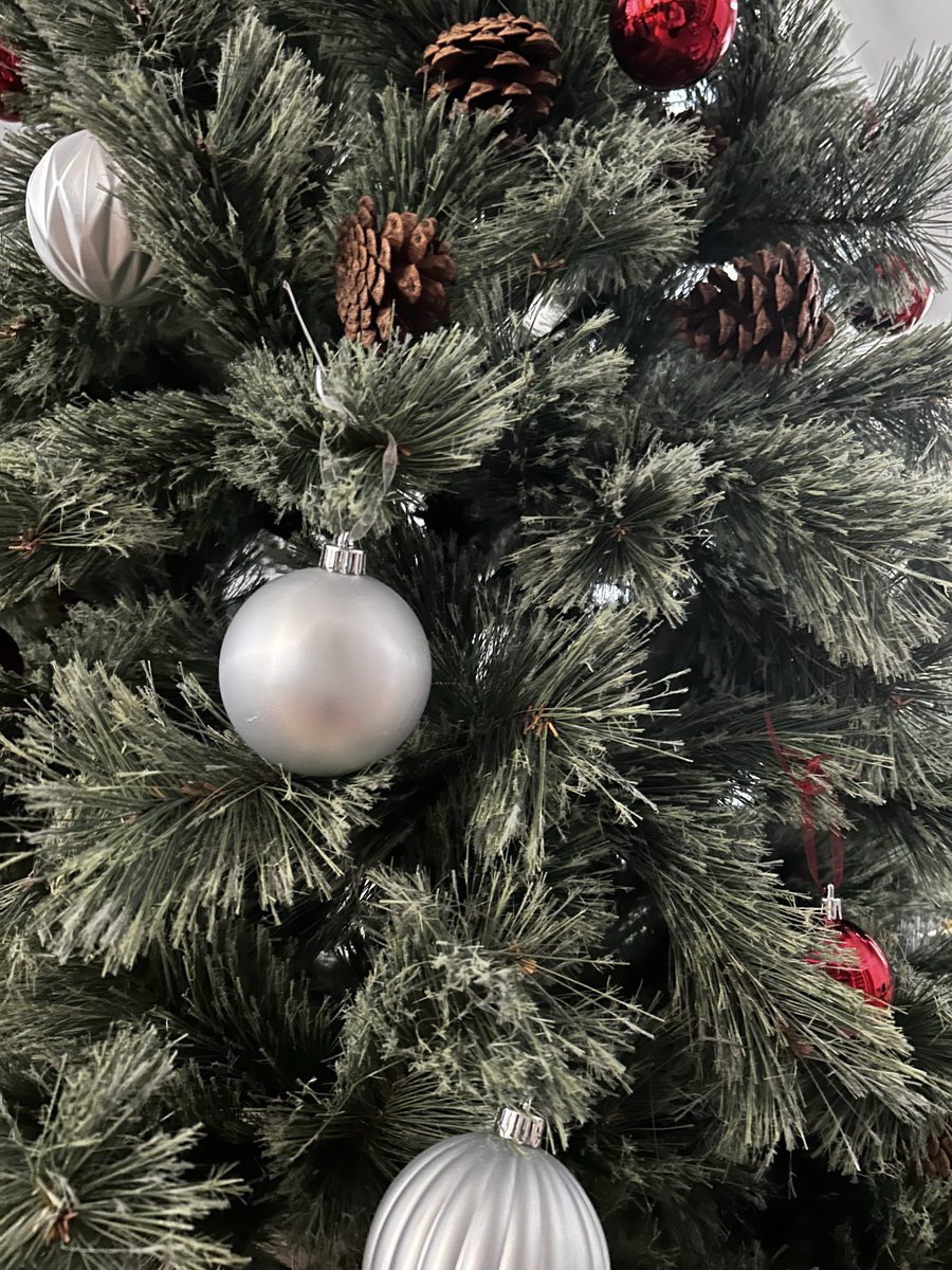 亜矢クリスマスツリー とうとう初クリスマスツリーを入手し、飾りつけた。部屋着の夫がだらっ