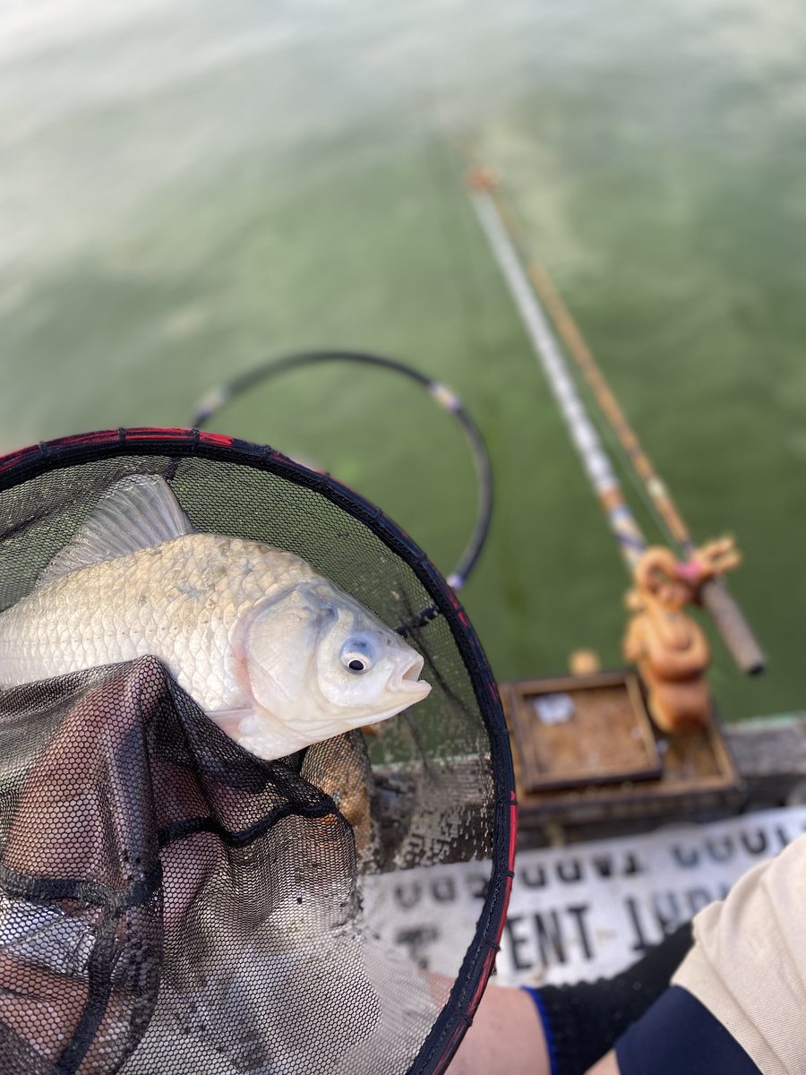 へら鮒 へらぶな専門店 松岡釣具 MFC ONLINE SHOP へら竿 へら鮒釣具多数！