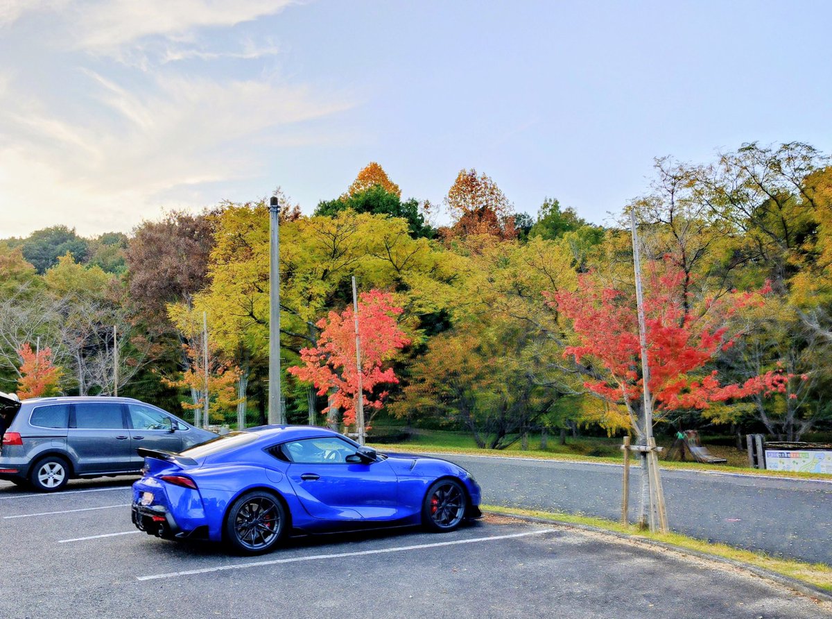 J_Kcoocoo's tweet image. 紅葉の見頃はもう少し！🤗