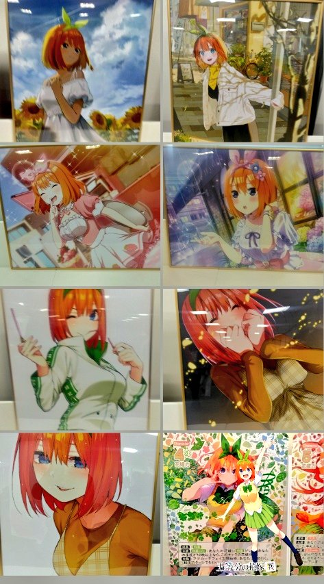 プロテインパワー(プロ)🦊👻🐾 🦋@二乃推し 五等分の花嫁グッズ