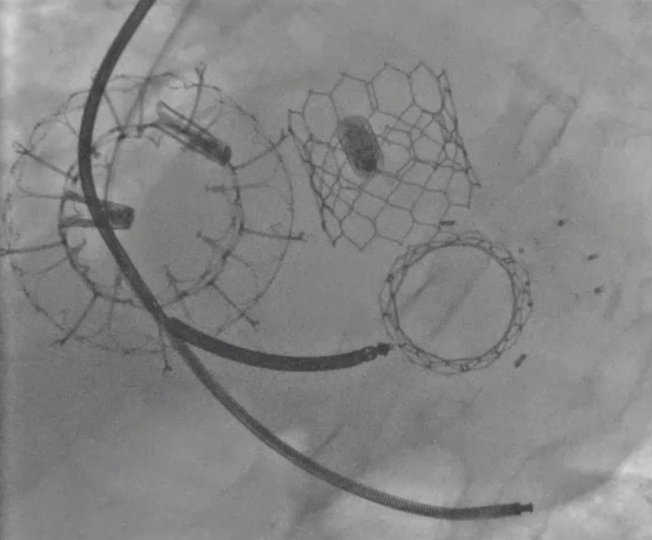 Alberto Cereda tweet media