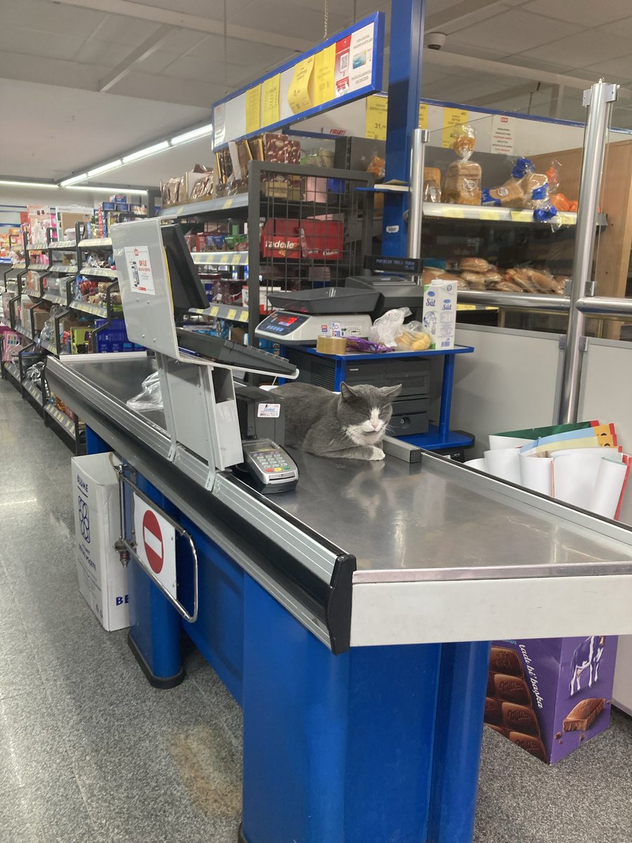 Güvenli ve temiz Türkiye!.. Pandemideki hijyen kuralları ne oldu?.. Burada satılan ürün tam olarak nedir; sağlığımız mı?.. 
<a href="/bimturkiye/">BİM Türkiye</a> bu konuda bir açıklamanız var mı?.. Bu normal mi sorumuza aldığımız cevap; “mama alıyor müşteriler, ondan”
Bu ne demek, nasıl bir cevap?..