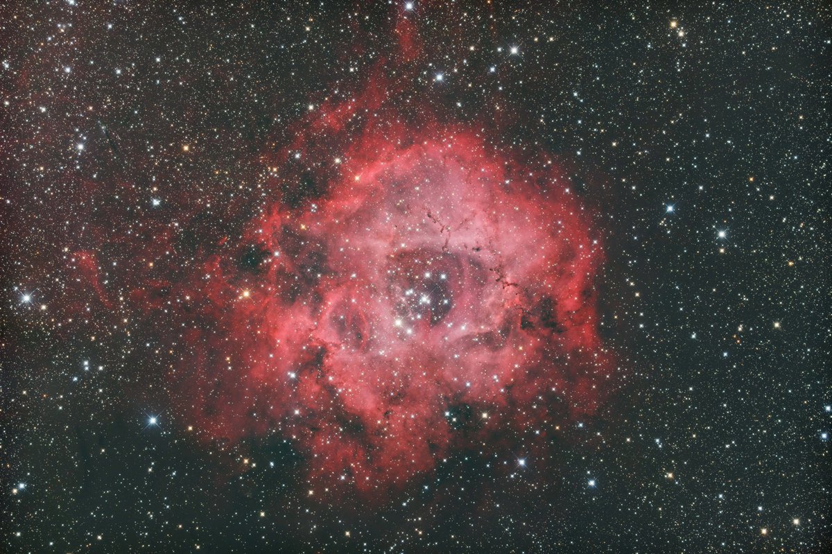 ゆうべ久しぶりに撮影にいき、これまた久しぶりにバラ星雲を撮影しました。
とても明るく簡単に写るだけに、どのように処理したらよいか逆に難しい対象とも感じます。
今回はフィルタにIDAS HEUIBIIを使っているので、pixinsightのMGCの処理（Rの処理）をどうするか？試行錯誤しました・・・