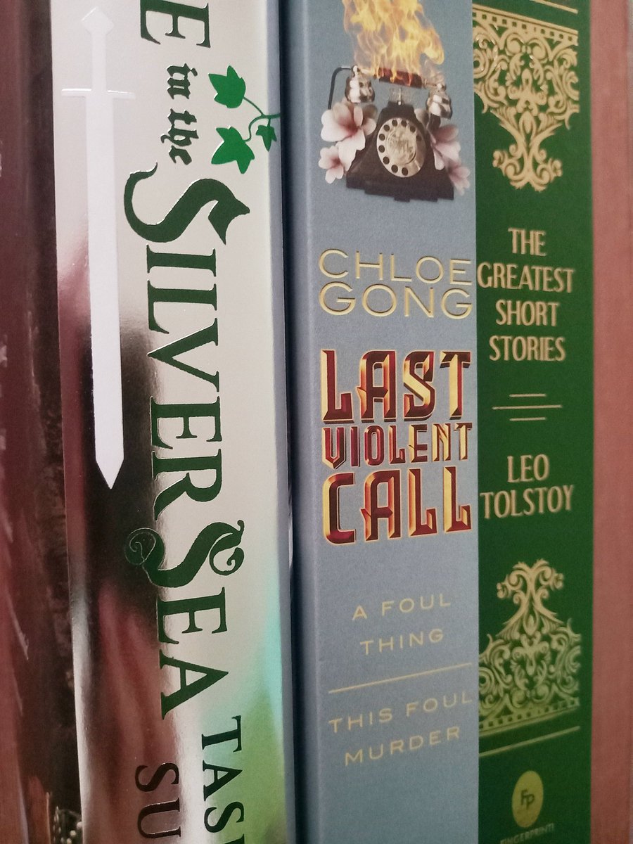 AfirePages's tweet image. obsessed with my recent bookhaul 😍