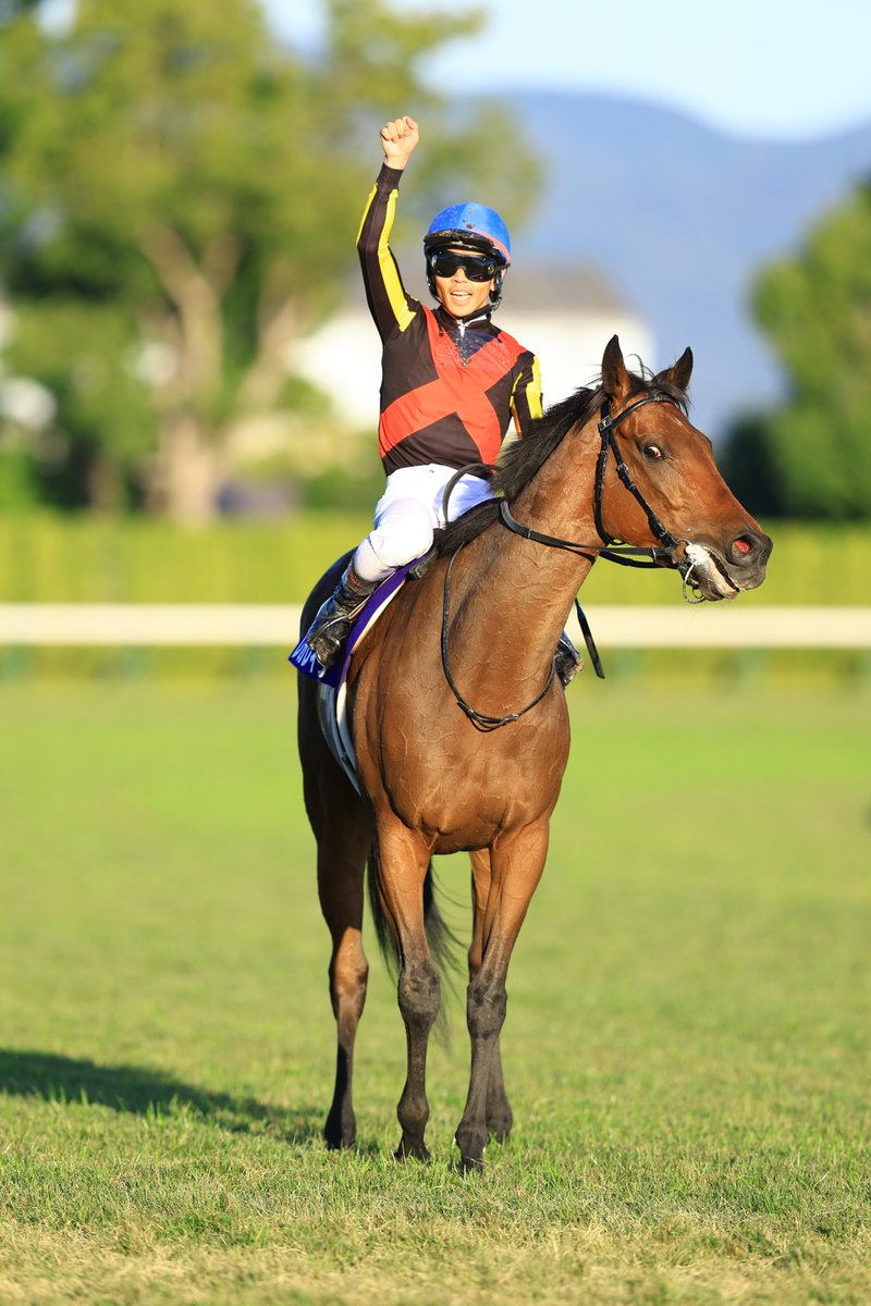 まさやん (@masayan0381989) / Posts / X