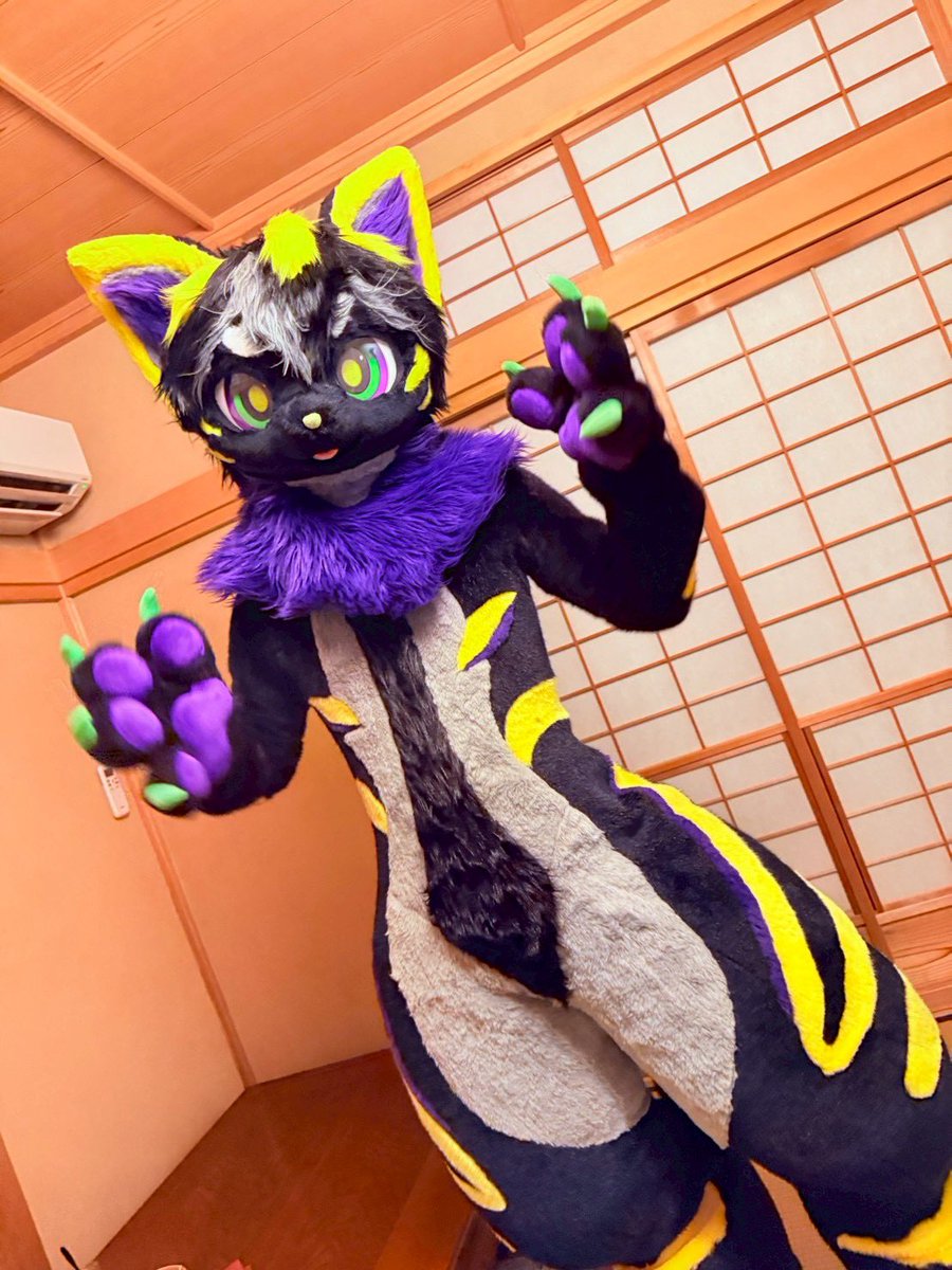 わたわたしてる🐈
#FursuitEveryday
#kemonoline
📷<a href="/FoxMk2/">FoxMk2(ｽｲｽｲ)→???</a>