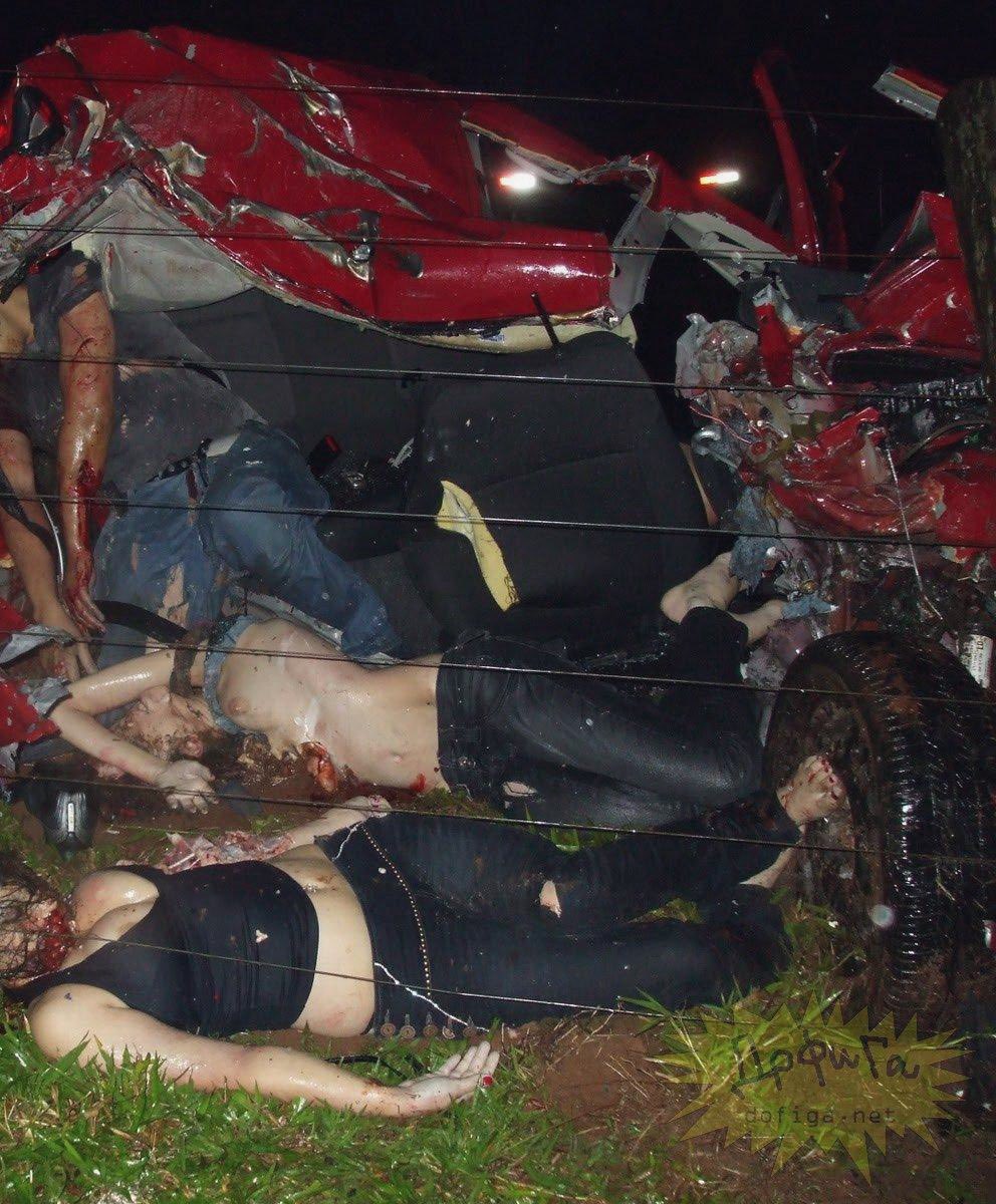 sallowcore's tweet photo. vroom vroom
fake/educational/sfx/prop/etcetc https://t.co/NJfpJJQk7K