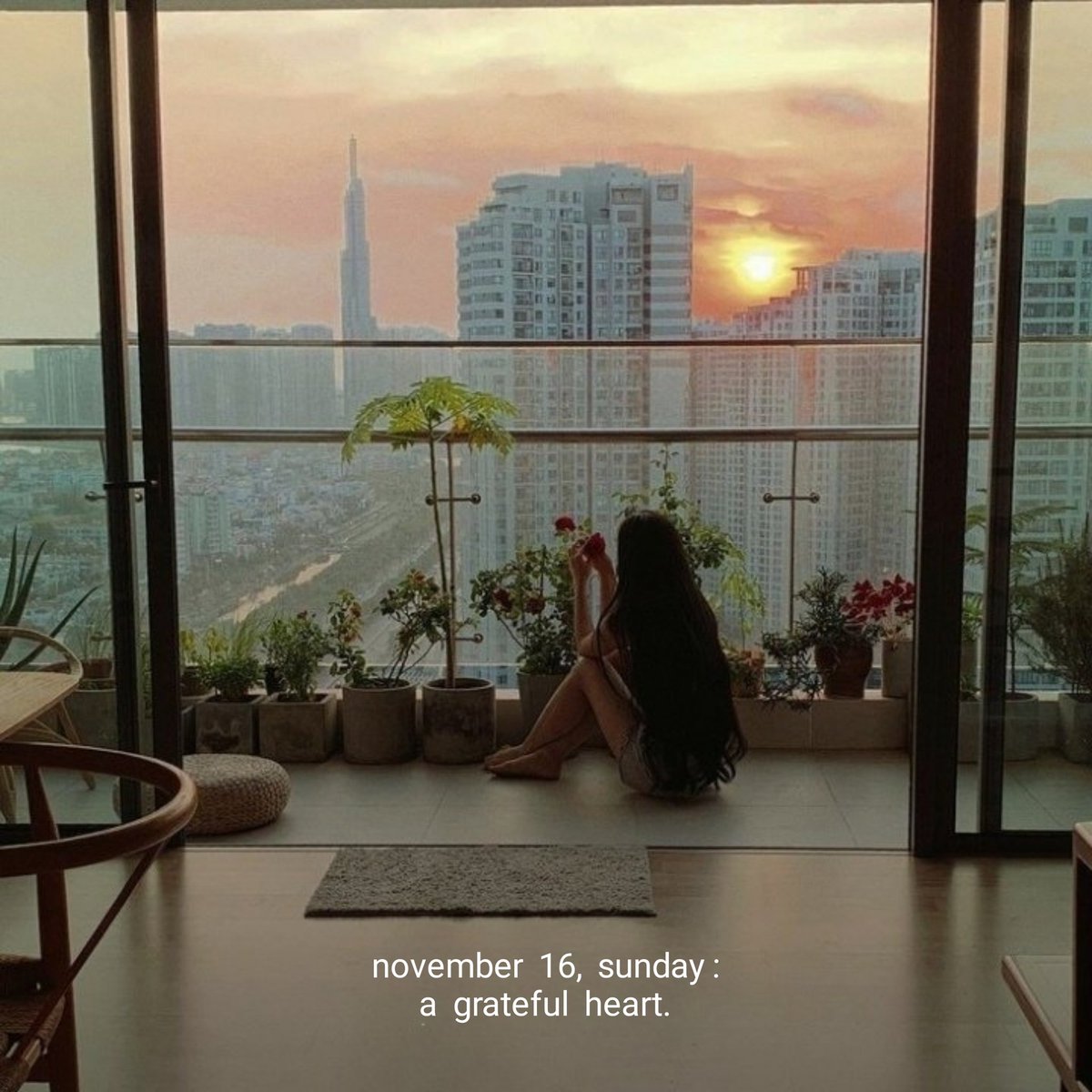 mood novella tweet media