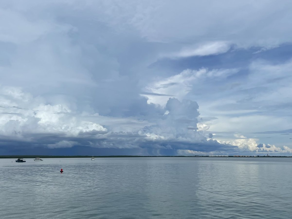 MattBrannRURAL's tweet image. #Darwin