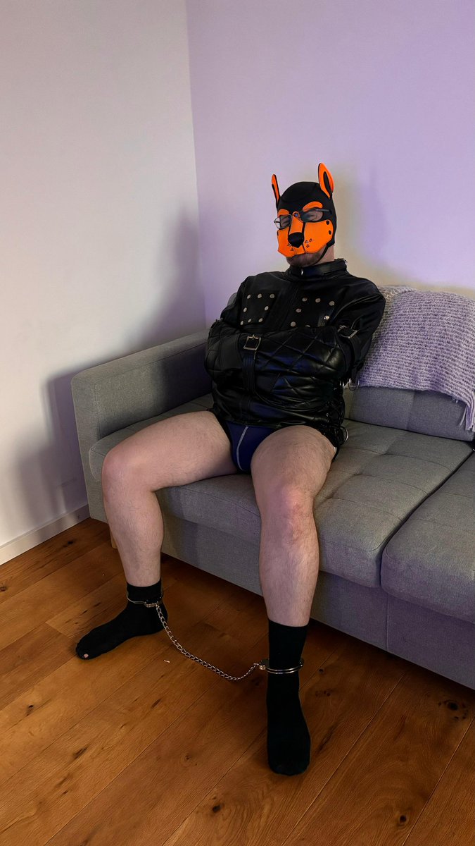 FuaxFarmer's tweet photo. Very casual movie night attire πΆ #boundpup #gaypup #bondage https://t.co/cbpwt6MMfD