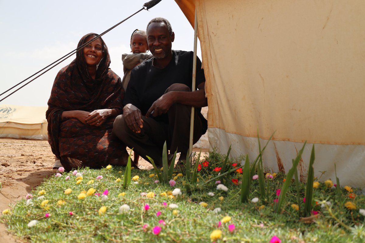 Osman, displaced from Darfur, found safety in Kassala. Amid hardship, he nurtured a garden outside his shelter. After 4 months, flowers bloomed - a quiet act of resilience.🌼

Like Osman, the people of Sudan have endured so much. They deserve peace.

#KeepEyesonSudan 🇸🇩