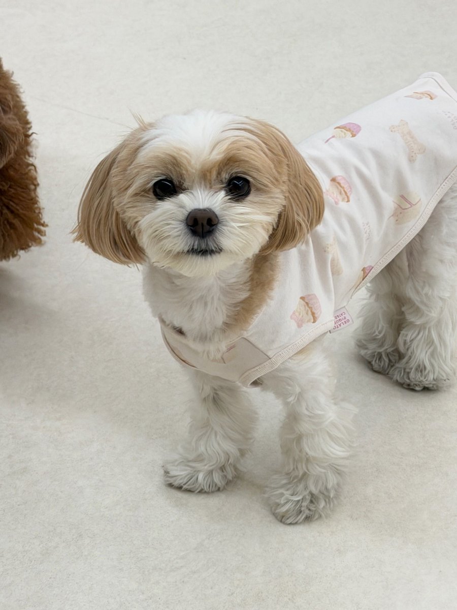 251116 CHANYEOL 🍒💭

"Eat something delicious and wrap up your weekend well ❤️"

#찬열버블