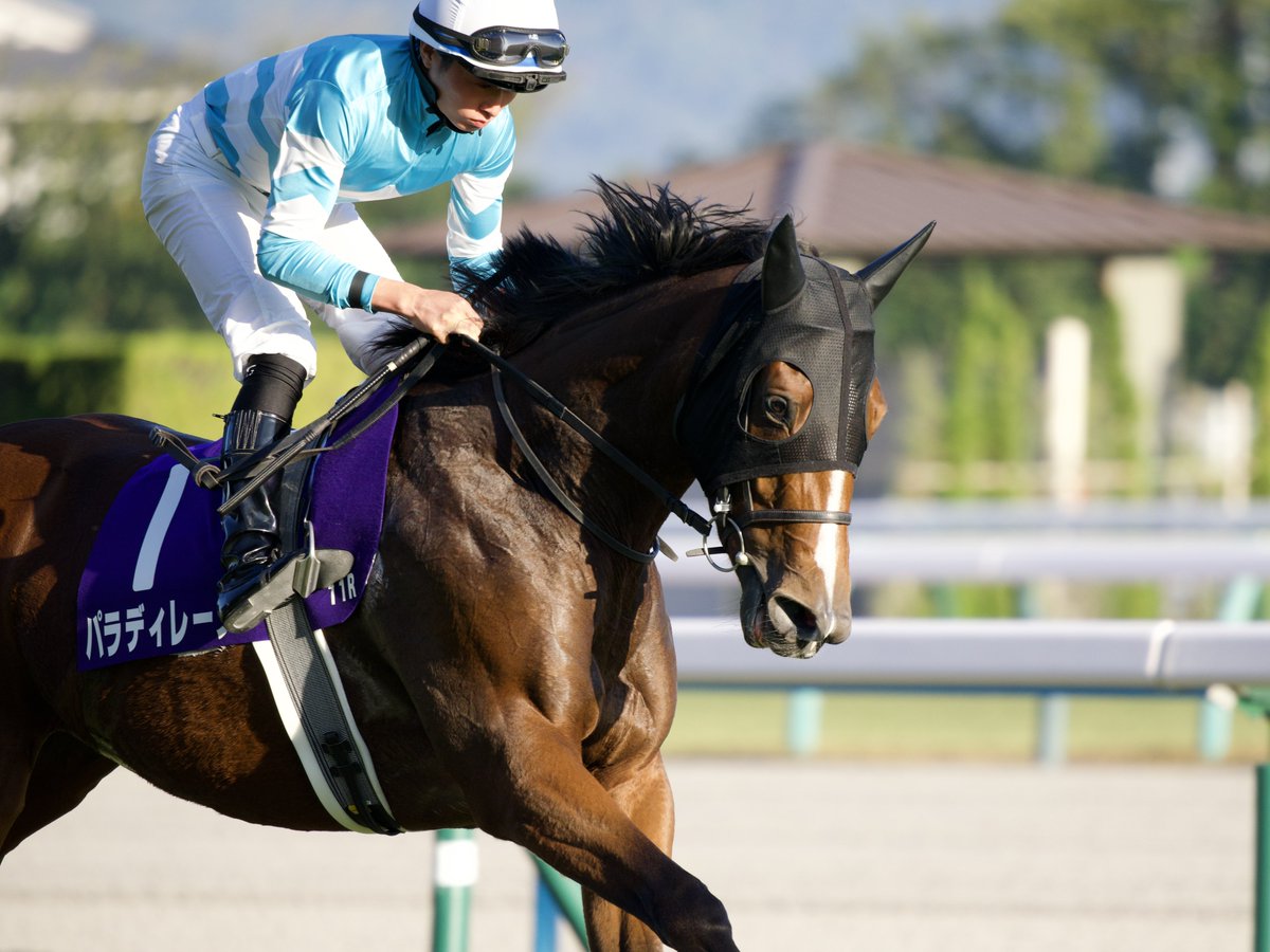 京都11R エリザベス女王杯 ボンドガール パラディレーヌ ココナッツ