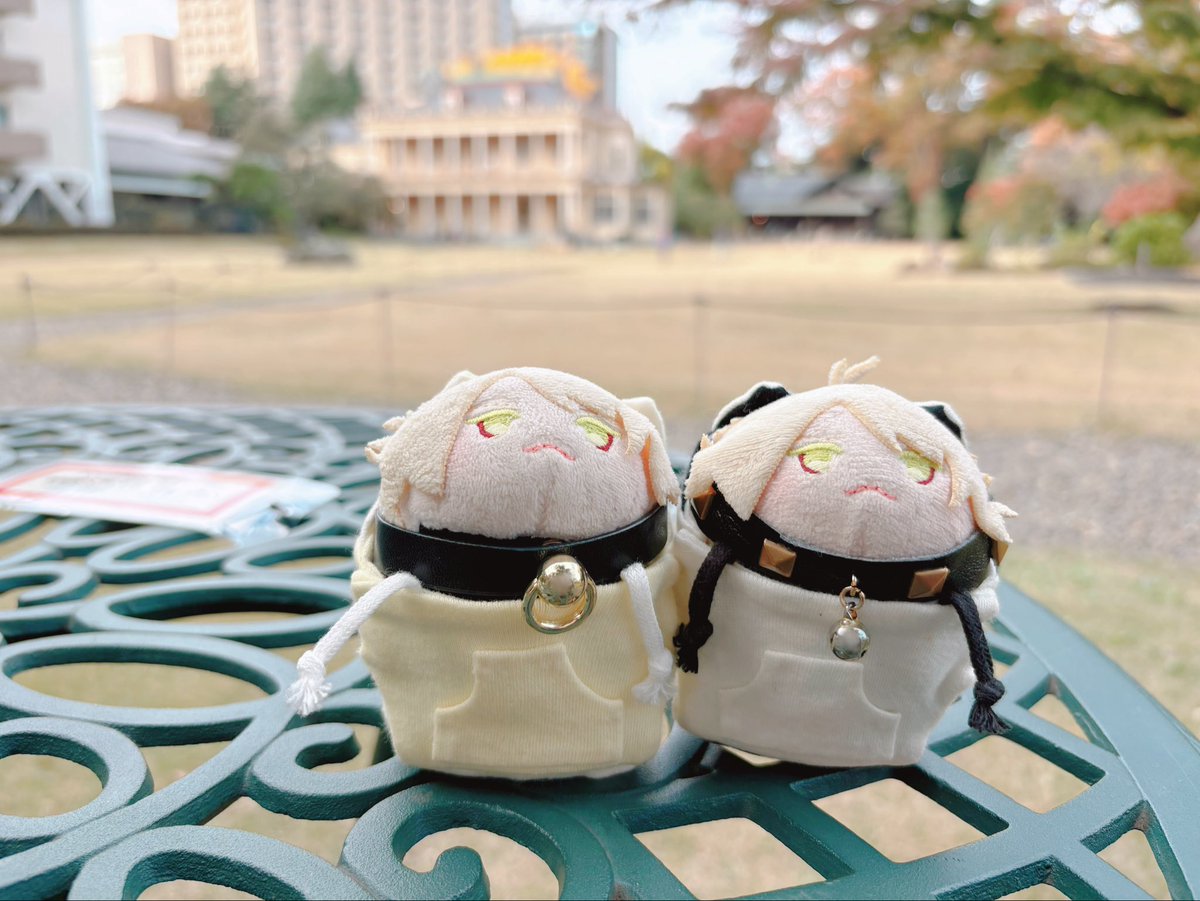 かぴ丸🐱🐱 (@kapi_mr69) / Posts / X