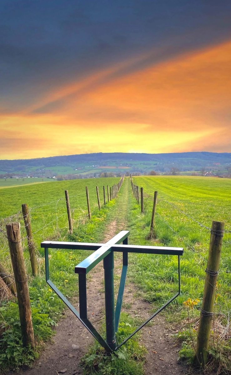 magnifiekZL's tweet image. ☀️ De laatste ‘in het zonnetje’ – Deel 13: Epen!

Goedemorgen! Ik sluit de jubileumserie af met een reeks van 15 heerlijke beelden van Epen en omgeving, in alle seizoenen. Nog altijd ter ere van ons 10-jarig jubileum van vorige week zondag. #MagnifiekZL 
2/15

📸:castelijns_ruud