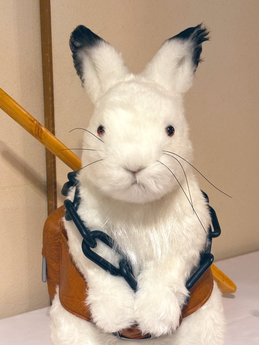 daruma＠V5 (@darumaz) / Posts / X