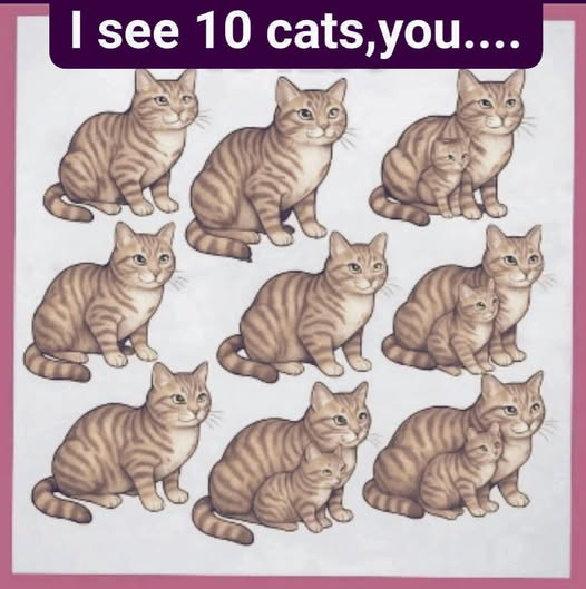 Crypto_Eagle 🦅 tweet media