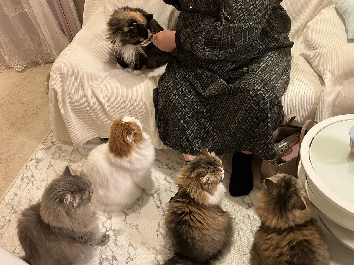 いつもあたしが1番 大好きなお客様 あん❤️