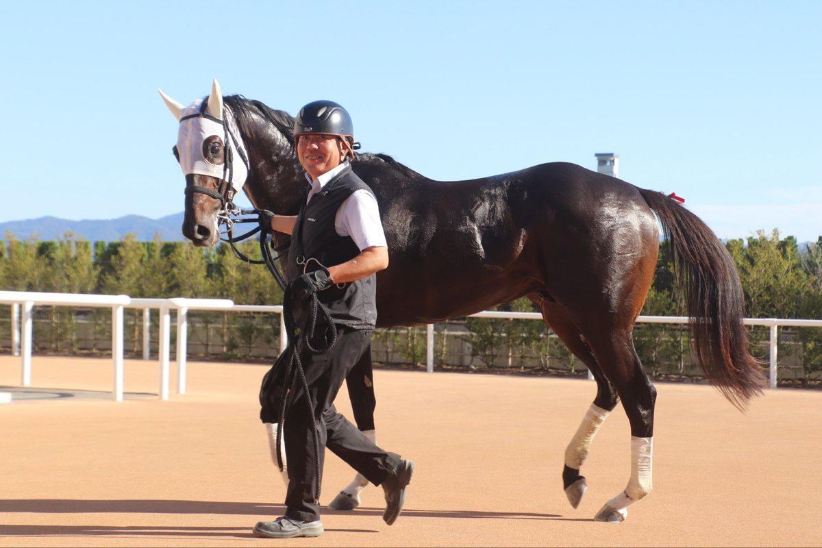 シルク・ホースクラブ（公式） (@SILKHCofficial) / Posts / X