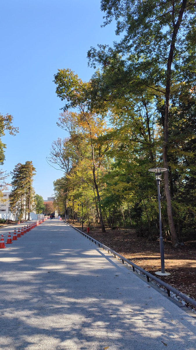 mash_labo27's tweet photo. 東洋大学川越キャンパスで行われた第61回日本水処理生物学会に参加してきました！専攻科のＨ君は着実に力がついていることを感じさせる、とても立派な発表でした👍大学４年生の秋相当、立派なものです。写真は大学構内のこもれびロードと、ときもちゃん消火栓。熊を気にしない散策って素晴らしい😂 https://t.co/VWQu5XFFlZ