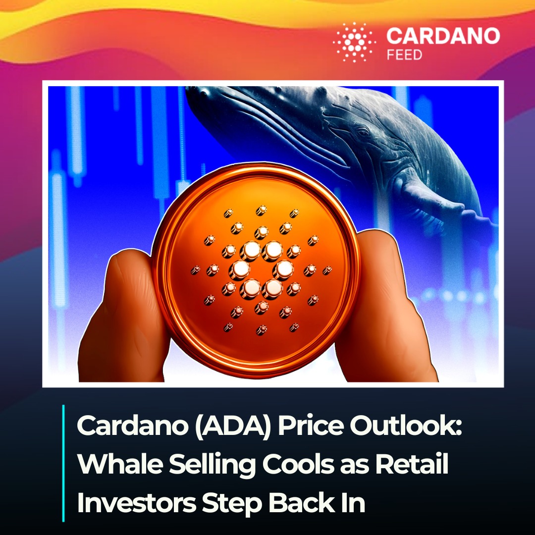 Cardano (ADA) Price Outlook: Whale Selling Cools as Retail Investors Step  Back In