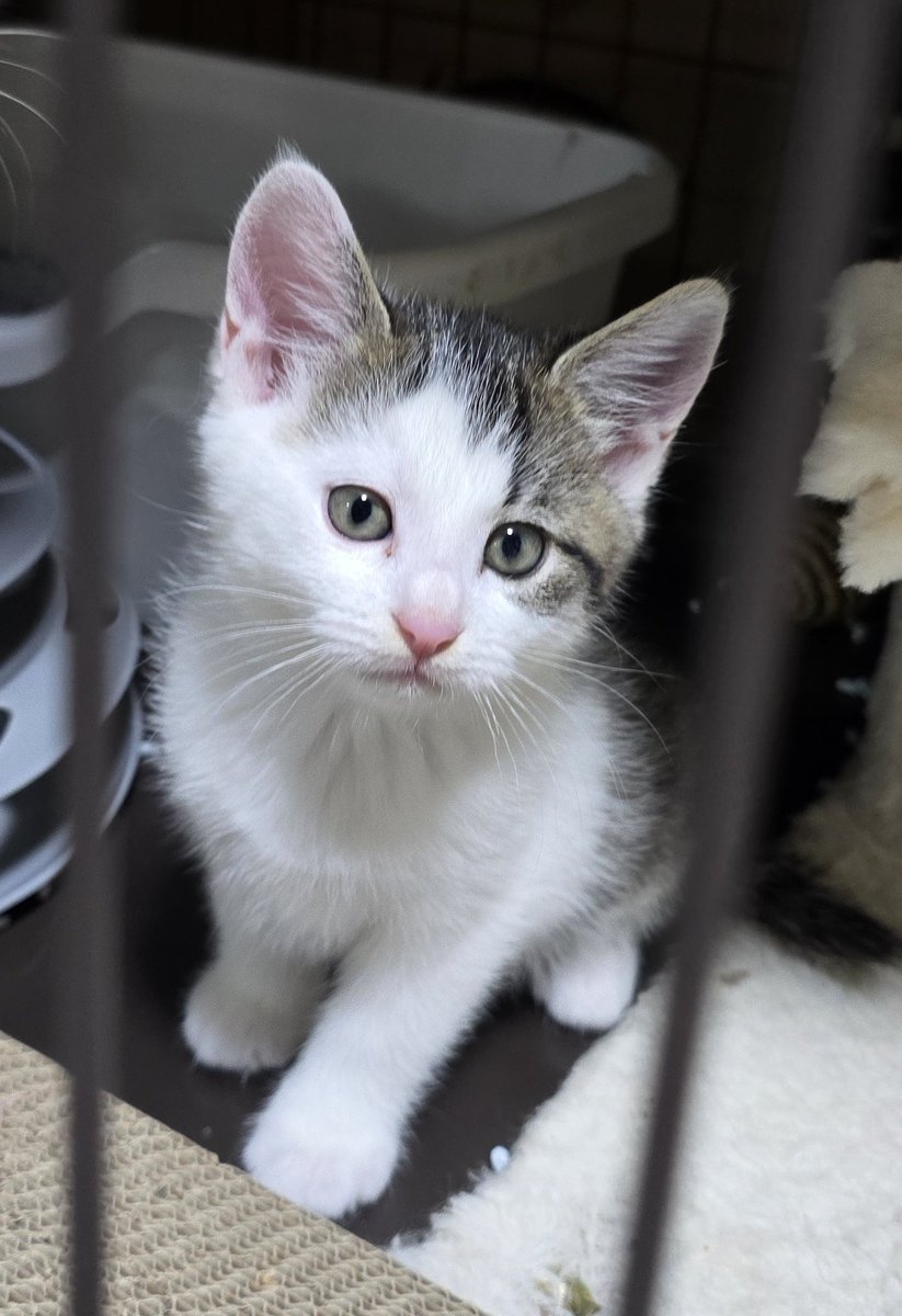 来夢 (@k2kBcTiP82T4D13) / Posts / X