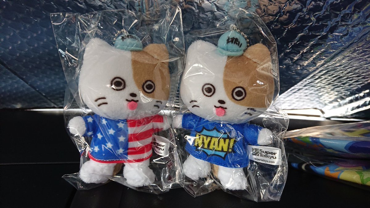 cube_yots's tweet photo. 🇺🇸 NYAN! https://t.co/3Q9yBf8mPA