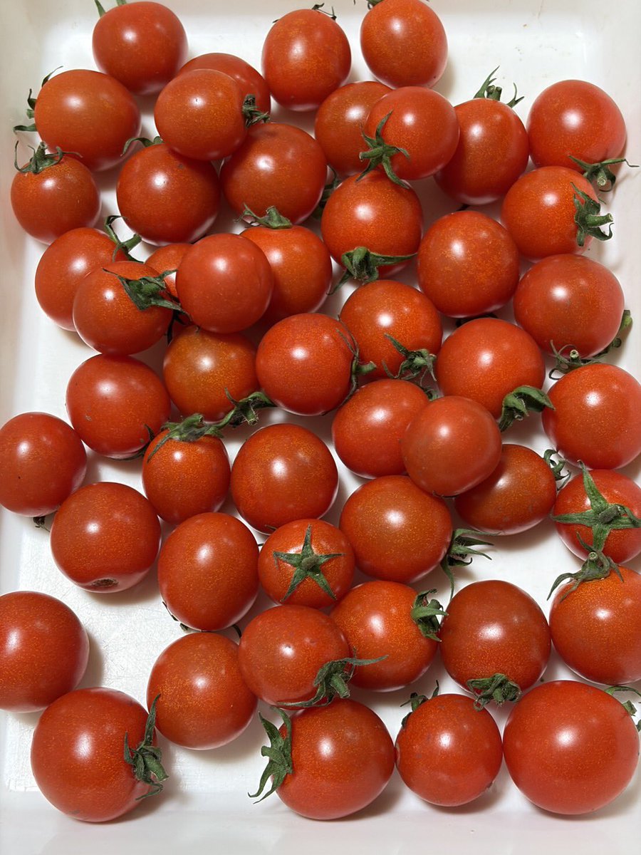 みなさまこんばんは🌇 今日もお疲れ様でした😊 素敵な夜をお過ごし