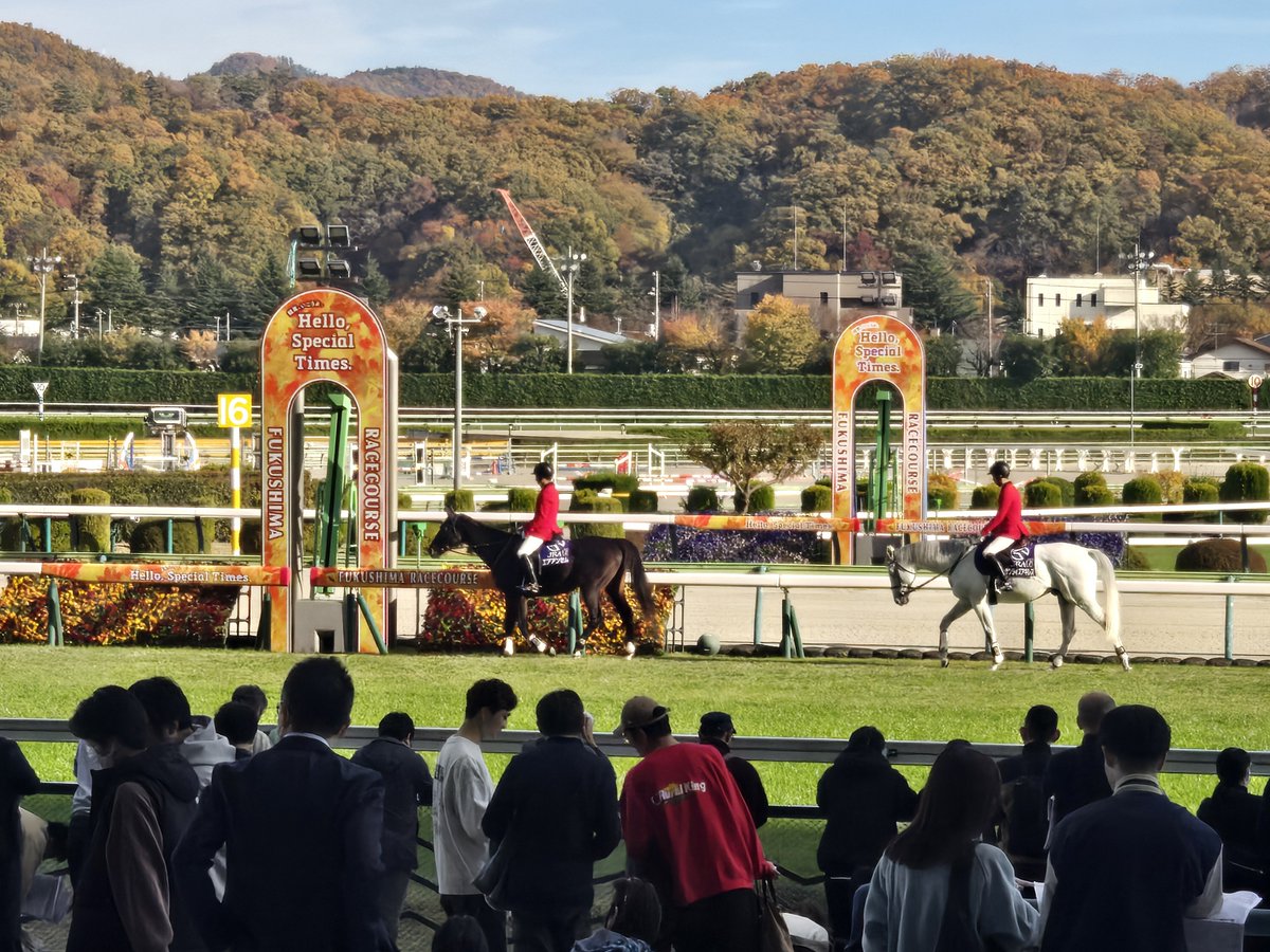 誘導馬が優雅に歩く🐴