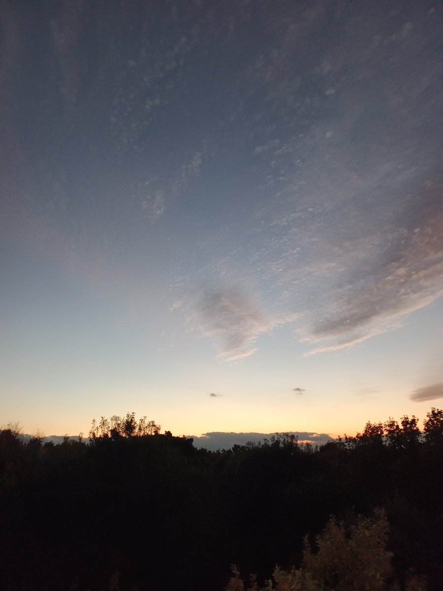 Locomotive38 (@locomotive38) / Posts / X