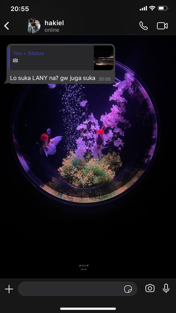 In LANY boy we trust

#sunflies  few tweets au
by ©louvireena